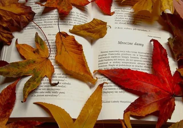 Motyw listu w literaturze: emocje, intrygi i narracyjne funkcje Motyw listu w literaturze: emocje, intrygi i narracyjne funkcje