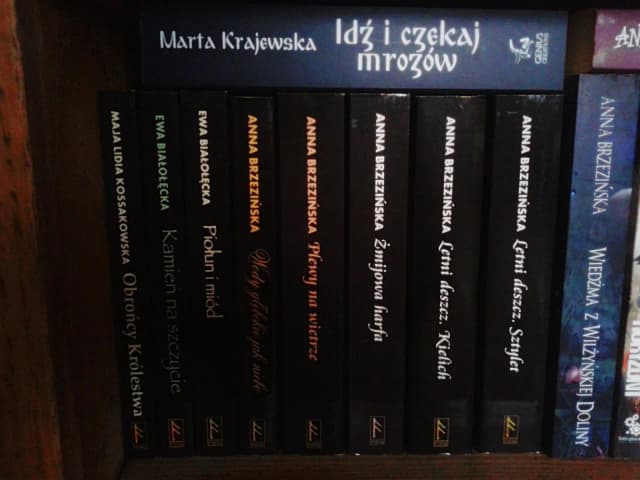 Najlepsze książki obyczajowe polskich autorów, które musisz poznać Najlepsze książki obyczajowe polskich autorów, które musisz poznać