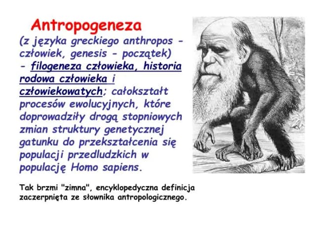 Mity o pochodzeniu człowieka: tajemnice i znaczenie w kulturach Mity o pochodzeniu człowieka: tajemnice i znaczenie w kulturach