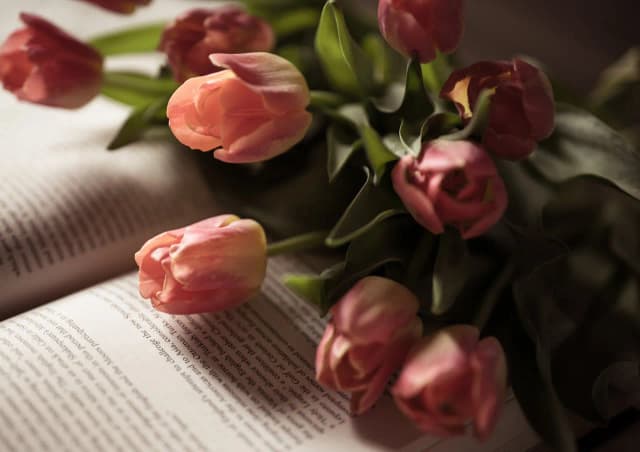 Wiosna wiersz: Odkryj piękno poezji o wiośnie w polskiej literaturze Wiosna wiersz: Odkryj piękno poezji o wiośnie w polskiej literaturze