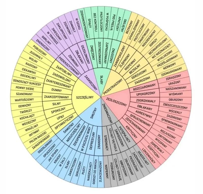 Czy uczucia rządzą człowiekiem? Przykłady emocji w literaturze Czy uczucia rządzą człowiekiem? Przykłady emocji w literaturze